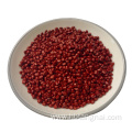 highest grade masterbatch red for PE PP products